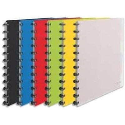 Leitz Esselte 624014 – mapp med avtagbara fodral, 25 fodral, för 50 ark A4, mjukt omslag, olika färger, VIVIDA Leitz Esselte 624014 – mapp med avtagbara fodral, 25 fodral, för 50 ark A4, mjukt omslag, olika färger, VIVIDA