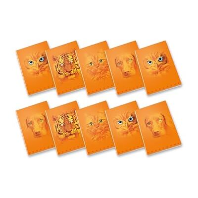 Pigna , Maxi-anteckningsbok Monocromo Orange, A4, papper 100 g/m², 72 sidor + omslag, insida 4M, rutmönster 4 mm, olika motiv, förpackning med 10 stycken Pigna , Maxi-anteckningsbok Monocromo Orange, A4, papper 100 g/m², 72 sidor + omslag, insida 4M, rutmönster 4 mm, olika motiv, förpackning med 10 stycken