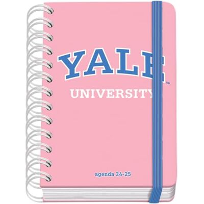 DOHE Skoldagbok 2024 2025, A6 (12 x 17 cm), stängning av ringar och gummi, spanska och engelska, 4 sidor, september till juni, skolmaterial Yale University Pink Lady DOHE Skoldagbok 2024 2025, A6 (12 x 17 cm), stängning av ringar och gummi, spanska och engelska, 4 sidor, september till juni, skolmaterial Yale University Pink Lady