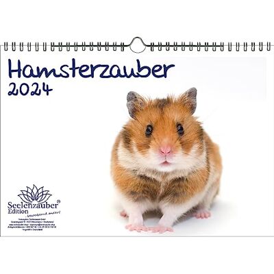 Seelenzauber Hamstermagi DIN A4 kalender för 2024 husdjurshamster – själsmagi Seelenzauber Hamstermagi DIN A4 kalender för 2024 husdjurshamster – själsmagi