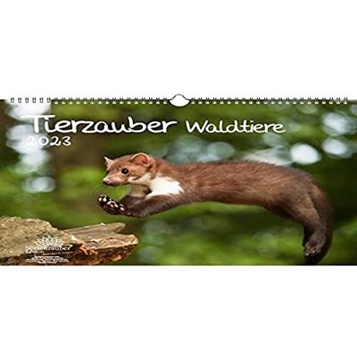 Seelenzauber Djurmagi skogsdjur DIN A3-kalender för 2023 djur i skogen – sjömagi, flerfärgad, KN2023-3W-0036-D-0 Seelenzauber Djurmagi skogsdjur DIN A3-kalender för 2023 djur i skogen – sjömagi, flerfärgad, KN2023-3W-0036-D-0