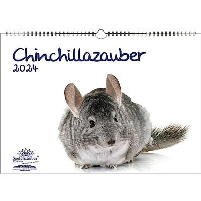 Seelenzauber Chinchillazauber DIN A3-kalender för 2024 chinchilla – själsmagi Seelenzauber Chinchillazauber DIN A3-kalender för 2024 chinchilla – själsmagi