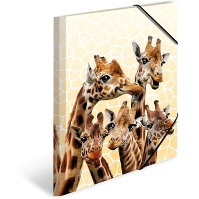 HERMA 19957 Samlingsmapp DIN A4 exotiska djur giraff vänner, uppsättning av 3, stabil plast, organisationsmapp med tryckta innerfack och elastiskt band, dokumentmapp för barn, pojkar och flickor HERMA 19957 Samlingsmapp DIN A4 exotiska djur giraff vänner, uppsättning av 3, stabil plast, organisationsmapp med tryckta innerfack och elastiskt band, dokumentmapp för barn, pojkar och flickor
