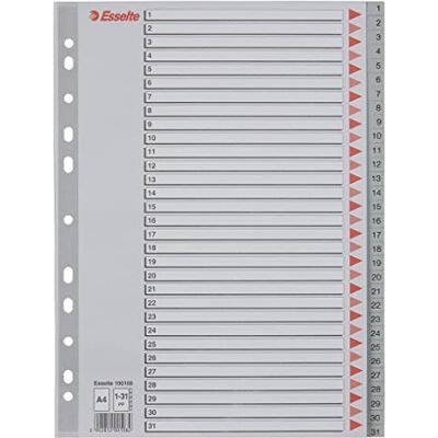 Esselte E:Indices A4 PP 1-31 grey Esselte E:Indices A4 PP 1-31 grey