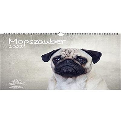 Seelenzauber Mopsmagi DIN A3 kalender för 2023 mops hundar och valpar – själsmagi Seelenzauber Mopsmagi DIN A3 kalender för 2023 mops hundar och valpar – själsmagi