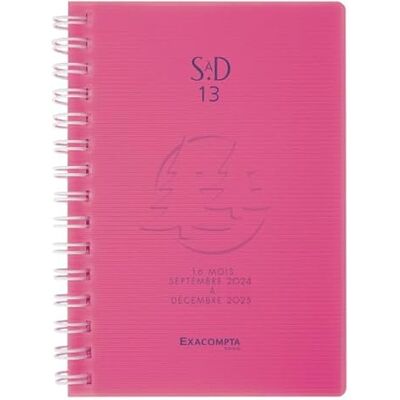 Exacompta Ref. 56279E kartong med 10 anpassningsbara Kreacover Pastell-sorterare med 3 klaffar med gummiband omslag och PP-insida 8 fack dim 25 x 32 cm för A4 diverse Exacompta Ref. 56279E kartong med 10 anpassningsbara Kreacover Pastell-sorterare med 3 klaffar med gummiband omslag och PP-insida 8 fack dim 25 x 32 cm för A4 diverse