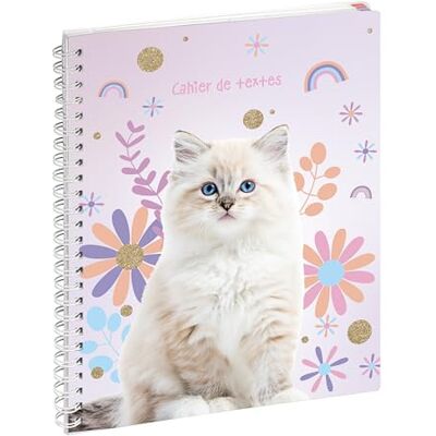 Exacompta Ref. 9991413E 1 vacker katt vit text anteckningsbok 17 x 22 cm visuell katt Exacompta Ref. 9991413E 1 vacker katt vit text anteckningsbok 17 x 22 cm visuell katt