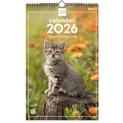 Finocam Väggkalender 2026, 25 x 40 cm, månadsvy januari december 2026 + september dec 2025 (4 månader) Kalender 2026 Bild kattungar katalanska Finocam Väggkalender 2026, 25 x 40 cm, månadsvy januari december 2026 + september dec 2025 (4 månader) Kalender 2026 Bild kattungar katalanska