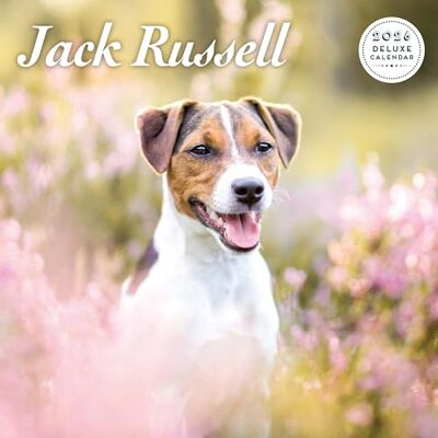 Magnet & Steel Jack Russell 2026 Deluxe Kalender Magnet & Steel Jack Russell 2026 Deluxe Kalender