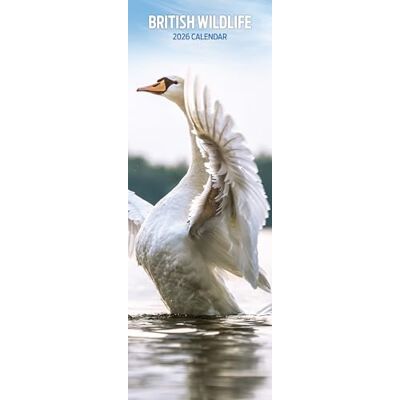 Magnet & Steel Brittiskt djurliv 2026 smal kalender Magnet & Steel Brittiskt djurliv 2026 smal kalender