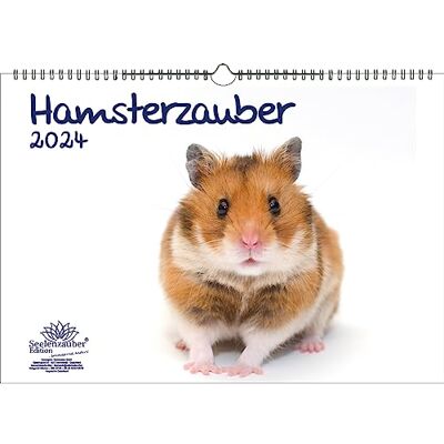Seelenzauber Hamstermagi DIN A3-kalender för 2024 hamster – sjömagi Seelenzauber Hamstermagi DIN A3-kalender för 2024 hamster – sjömagi