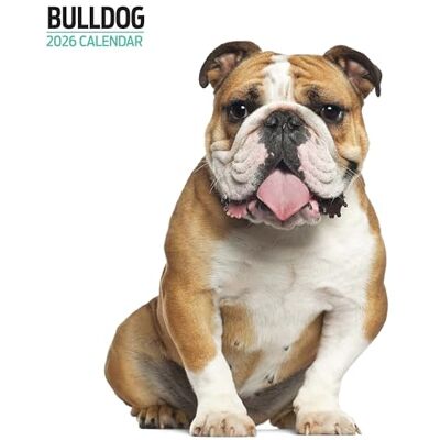 Magnet & Steel Bulldog 2026 Modern kalender Magnet & Steel Bulldog 2026 Modern kalender