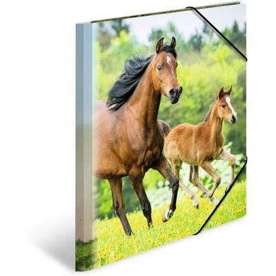 HERMA Samlarmappar A4-hästar-set, 3 stycken, barnhörnspännarmappar av plast med djurmotiv, elastiskt band, inre klaffar och innertryck för pojkar och flickor HERMA Samlarmappar A4-hästar-set, 3 stycken, barnhörnspännarmappar av plast med djurmotiv, elastiskt band, inre klaffar och innertryck för pojkar och flickor