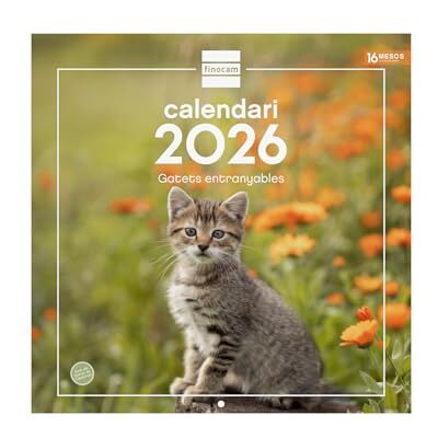 Finocam Väggkalender 2026, 30 x 30 cm, månadsvy januari december 2026 + september dec 2025 (4 månader) Kalender 2026 Bild kattungar katalanska Finocam Väggkalender 2026, 30 x 30 cm, månadsvy januari december 2026 + september dec 2025 (4 månader) Kalender 2026 Bild kattungar katalanska