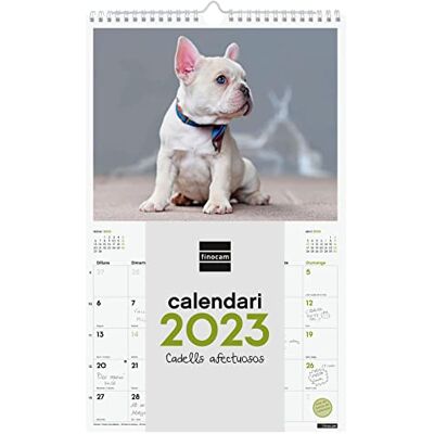 Finocam Kalender 2023 spiralväggbilder för att skriva januari 2023 december 2023 (12 månader) Katalanska valpar Finocam Kalender 2023 spiralväggbilder för att skriva januari 2023 december 2023 (12 månader) Katalanska valpar