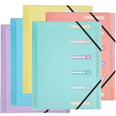 Exacompta Ref 56170E kartong med 10 pastellkromalinsorterare 3 flikar med gummiband och utskurna fönster omslag och PP-insida 6 fack dim 25 x 32 cm för A4 diverse Exacompta Ref 56170E kartong med 10 pastellkromalinsorterare 3 flikar med gummiband och utskurna fönster omslag och PP-insida 6 fack dim 25 x 32 cm för A4 diverse