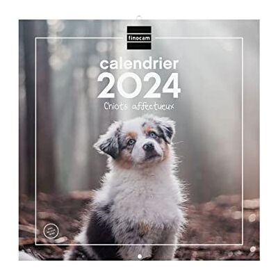 Finocam Väggkalender 30 x 30 för Notera 2024 januari 2024 december 2024 (12 månader) franska valpar Finocam Väggkalender 30 x 30 för Notera 2024 januari 2024 december 2024 (12 månader) franska valpar