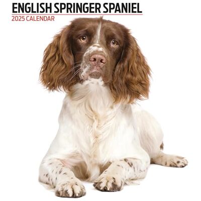 Magnet & Steel English Springer Spaniel 2025 Modern kalender Magnet & Steel English Springer Spaniel 2025 Modern kalender