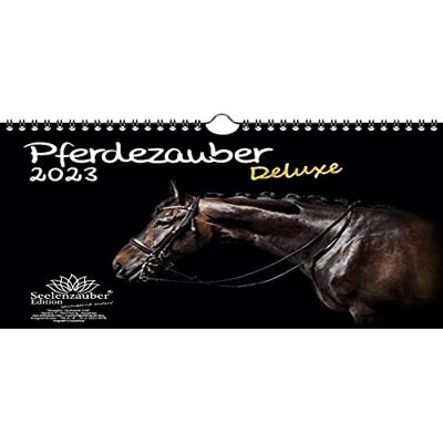 Seelenzauber Hästmagi DELUXE DIN A4 kalender för 2023 hästar – sjömagi Seelenzauber Hästmagi DELUXE DIN A4 kalender för 2023 hästar – sjömagi