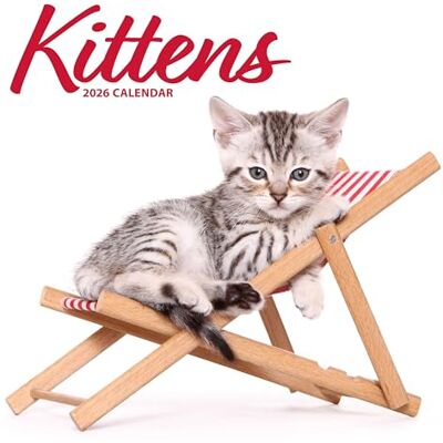 Magnet & Steel Kattungar 2026 Modern kalender Magnet & Steel Kattungar 2026 Modern kalender