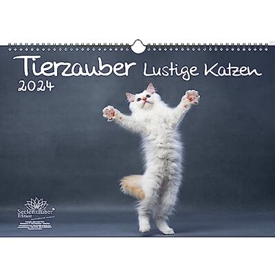 Seelenzauber Djurmagi roliga katter DIN A3 kalender för 2024 roliga katter – själsmagi Seelenzauber Djurmagi roliga katter DIN A3 kalender för 2024 roliga katter – själsmagi