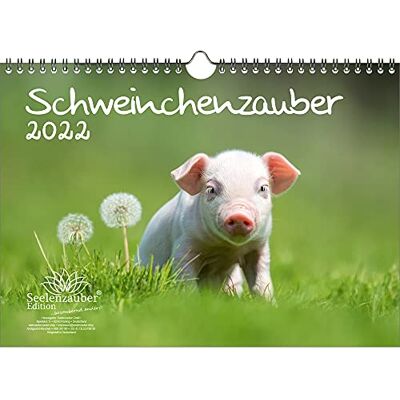 Seelenzauber Piggy Magic Din A4 Kalender För 2022 Piggy Soul Magic Seelenzauber Piggy Magic Din A4 Kalender För 2022 Piggy Soul Magic