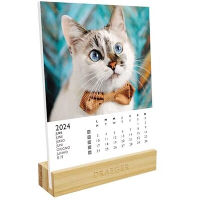 DRAEGER Paris kalender på kattstativ 2024 12 x 16,5 cm år 2024 7 språk månatlig kontorskalender bambubas FSC-certifierat papper vegetabiliskt bläck DRAEGER Paris kalender på kattstativ 2024 12 x 16,5 cm år 2024 7 språk månatlig kontorskalender bambubas FSC-certifierat papper vegetabiliskt bläck