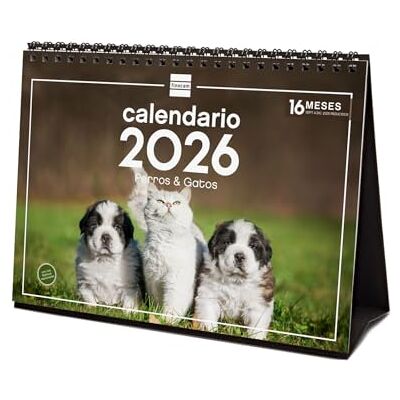 Finocam Skrivbordskalender 2026 månadsvy januari december 2026 + september dec 2025 (4 månader) reducerad Kalender 2026 Bilder på hundar och katter Spanska Finocam Skrivbordskalender 2026 månadsvy januari december 2026 + september dec 2025 (4 månader) reducerad Kalender 2026 Bilder på hundar och katter Spanska