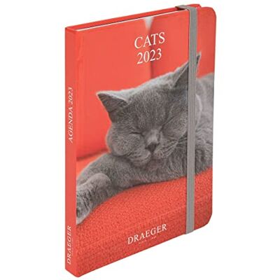 DRAEGER Paris fickdagbok katter 2023 DRAEGER Paris fickdagbok katter 2023