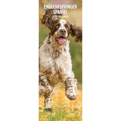 Magnet & Steel English Springer Spaniel 2026 smal kalender Magnet & Steel English Springer Spaniel 2026 smal kalender