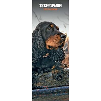Magnet & Steel Cocker Spaniel 2026 smal kalender Magnet & Steel Cocker Spaniel 2026 smal kalender