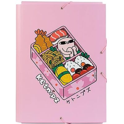 Grupo Erik Ketnipz Premium A4 File Folder 13.4 x 10 inches 34 x 25.5 cm 3 Flap Folder Document Organizer School Folder Document Folder Cool Gifts Grupo Erik Ketnipz Premium A4 File Folder 13.4 x 10 inches 34 x 25.5 cm 3 Flap Folder Document Organizer School Folder Document Folder Cool Gifts