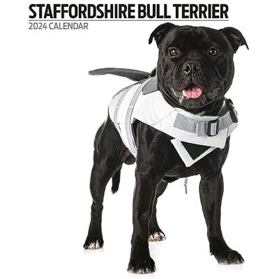 Magnet & Steel Staffordshire bullterrier modern 2024 kalender Magnet & Steel Staffordshire bullterrier modern 2024 kalender