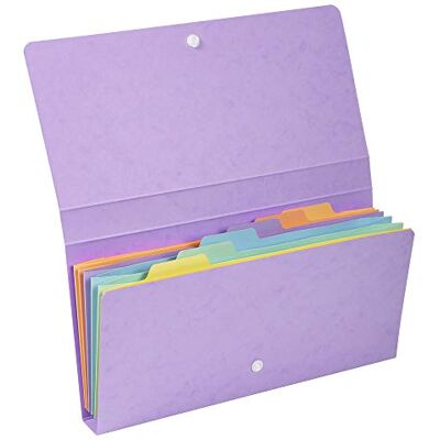 Exacompta Ref 58660E Aquarel Collection Fickorganisator med flera delar 26 x 13 cm, idealisk för kvitton, 6 flikar, rymmer upp till 120 ark Assorterade färger Exacompta Ref 58660E Aquarel Collection Fickorganisator med flera delar 26 x 13 cm, idealisk för kvitton, 6 flikar, rymmer upp till 120 ark Assorterade färger