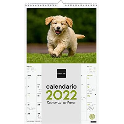Finocam Väggbilder Kalender 2022, 250x400 mm, Multifärg (Klackar) Finocam Väggbilder Kalender 2022, 250x400 mm, Multifärg (Klackar)