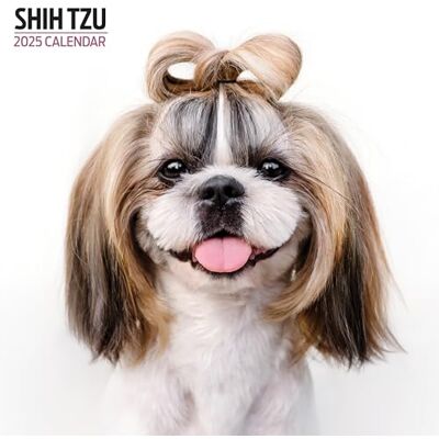 Magnet & Steel Shih Tzu 2025 Modern kalender Magnet & Steel Shih Tzu 2025 Modern kalender