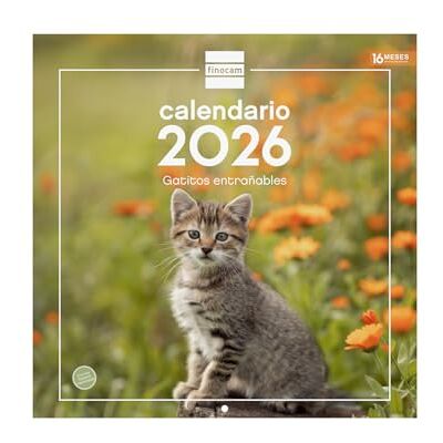 Finocam Väggkalender 2026 – spanska 30 x 30 cm månad Vista januari december 2026 + september dec 2025 (4 månader) reducerad Kalender 2026 Bilder Kattungar Finocam Väggkalender 2026 – spanska 30 x 30 cm månad Vista januari december 2026 + september dec 2025 (4 månader) reducerad Kalender 2026 Bilder Kattungar