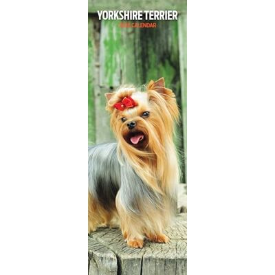 Magnet & Steel Yorkshire Terrier 2026 smal kalender Magnet & Steel Yorkshire Terrier 2026 smal kalender