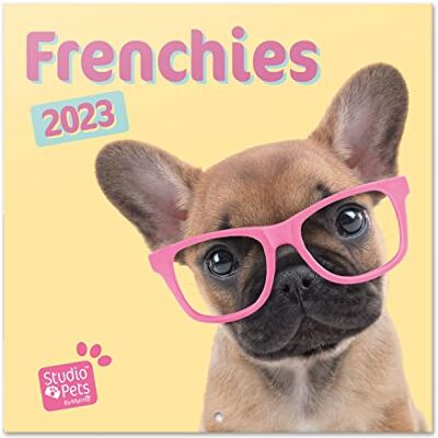 Grupo Erik Studio husdjur fransk bulldog väggkalender 2023 30 x 30 cm FSC 12 månaders planerare Fyrkantig väggkalender 2023 Familjeplaneringskalender 2023 Hundkalender 2023 + 4 bonusmånader Grupo Erik Studio husdjur fransk bulldog väggkalender 2023 30 x 30 cm FSC 12 månaders planerare Fyrkantig väggkalender 2023 Familjeplaneringskalender 2023 Hundkalender 2023 + 4 bonusmånader