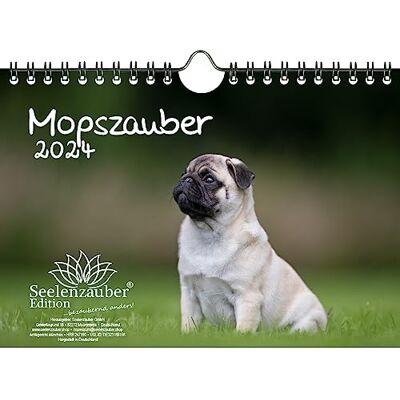 Seelenzauber Mopsmagi DIN A5 väggkalender för 2024 mops hundar och valpar – själsmagi Seelenzauber Mopsmagi DIN A5 väggkalender för 2024 mops hundar och valpar – själsmagi
