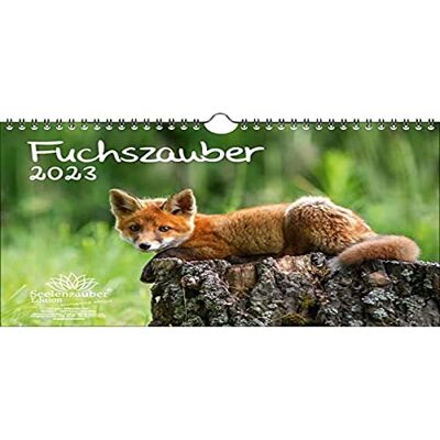 Seelenzauber Rävmagi DIN A4-kalender för 2023, räv och räv – sjömagi, flerfärgad, KN2023-4W-0032-D-0 Seelenzauber Rävmagi DIN A4-kalender för 2023, räv och räv – sjömagi, flerfärgad, KN2023-4W-0032-D-0
