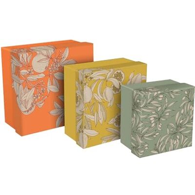 Clairefontaine 116359C Jardin des Sens, Set de 3 boîtes gigognes carrées 25x25x12 cm, 20x20x11cm, et 16x16x10 cm Clairefontaine 116359C Jardin des Sens, Set de 3 boîtes gigognes carrées 25x25x12 cm, 20x20x11cm, et 16x16x10 cm