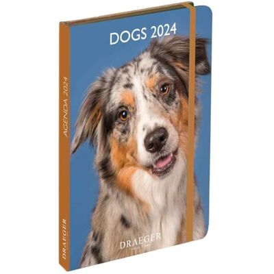 DRAEGER Paris Fickdagbok A6 special hundar januari-dec 2024 12 foton 11,5 x 16 cm hårt omslag märkningssida 7 språk 1 vecka på 2 sidor FSC®-certifierat papper DRAEGER Paris Fickdagbok A6 special hundar januari-dec 2024 12 foton 11,5 x 16 cm hårt omslag märkningssida 7 språk 1 vecka på 2 sidor FSC®-certifierat papper