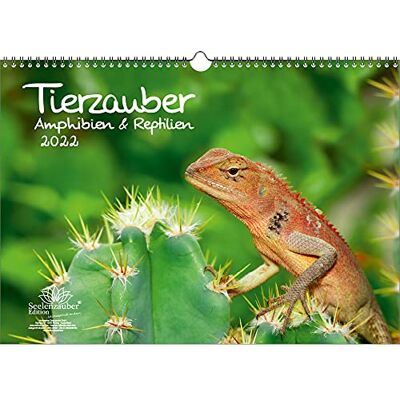 Seelenzauber Animal Magic Amfibier Och Reptiler Din A3 Kalender För 2022 Själsmagi Seelenzauber Animal Magic Amfibier Och Reptiler Din A3 Kalender För 2022 Själsmagi
