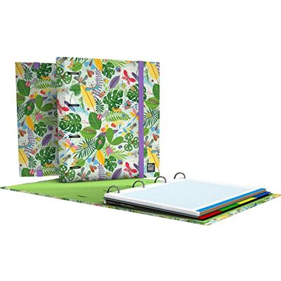 Grafoplás 4 ringar Arkiv med ersättning A4 Inkluderar 100 5x5 fyrkantiga ark Separatorer Transparent om Bits&Bobs Pop Up Design Bugs Carpebook FSC Grafoplás 4 ringar Arkiv med ersättning A4 Inkluderar 100 5x5 fyrkantiga ark Separatorer Transparent om Bits&Bobs Pop Up Design Bugs Carpebook FSC