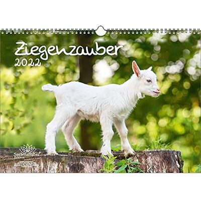 Seelenzauber Get Magic Din A3 Kalender För 2022 Getter Och Barn Soulmagi Seelenzauber Get Magic Din A3 Kalender För 2022 Getter Och Barn Soulmagi