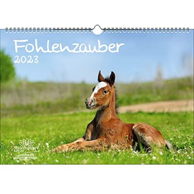 Seelenzauber Föl magi DIN A3-kalender för 2023 hästar och föl – sjömagi, KN2023-3W-0015-D-0 Seelenzauber Föl magi DIN A3-kalender för 2023 hästar och föl – sjömagi, KN2023-3W-0015-D-0
