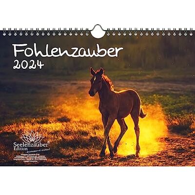 Seelenzauber Föl magi DIN A4 kalender för 2024 hästar och föl – sjömagi Seelenzauber Föl magi DIN A4 kalender för 2024 hästar och föl – sjömagi