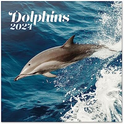 Grupo Erik Dolphins Wall Calendar 2024 12" x 12" 12 Month Planner Square Wall Calendar 2024 Family Planner Calendar 2024 Dolphin Calendar 2024 Dolphin Gifts + 4 Bonus Months Grupo Erik Dolphins Wall Calendar 2024 12" x 12" 12 Month Planner Square Wall Calendar 2024 Family Planner Calendar 2024 Dolphin Calendar 2024 Dolphin Gifts + 4 Bonus Months