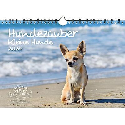 Seelenzauber Hundmagi små hundar DIN A4 kalender för 2024 valpar och små hundar – själsmagi Seelenzauber Hundmagi små hundar DIN A4 kalender för 2024 valpar och små hundar – själsmagi